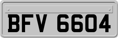 BFV6604