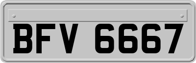 BFV6667