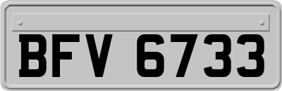 BFV6733