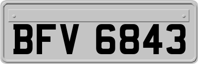 BFV6843
