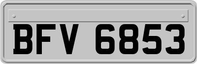BFV6853
