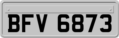 BFV6873