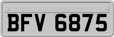 BFV6875