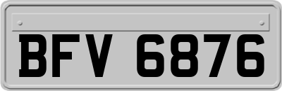 BFV6876