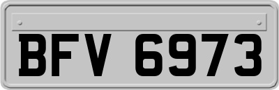 BFV6973