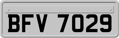 BFV7029
