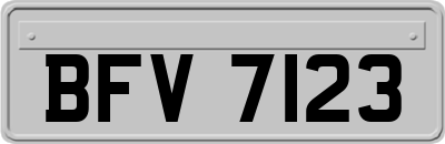 BFV7123