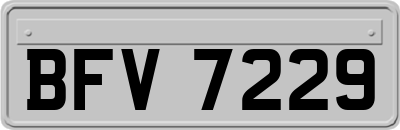 BFV7229