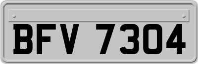 BFV7304