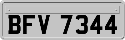 BFV7344