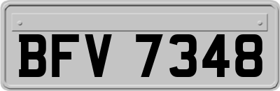 BFV7348