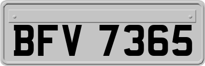 BFV7365