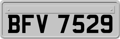 BFV7529