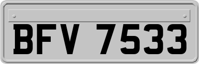 BFV7533