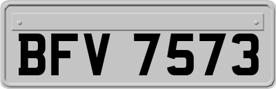 BFV7573