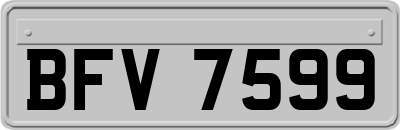 BFV7599