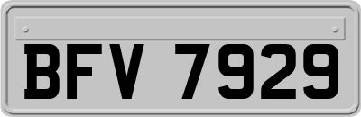 BFV7929