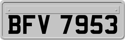 BFV7953