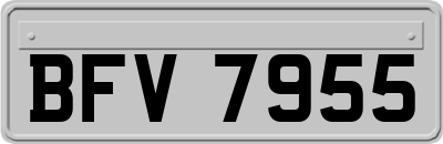 BFV7955