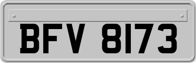 BFV8173