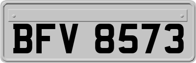 BFV8573