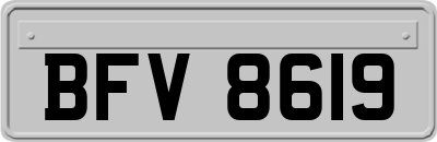 BFV8619