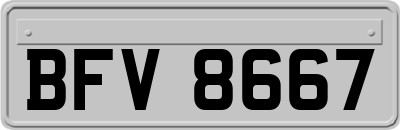 BFV8667