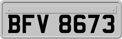 BFV8673