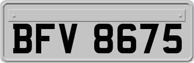 BFV8675