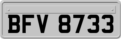 BFV8733