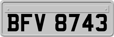 BFV8743