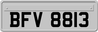 BFV8813