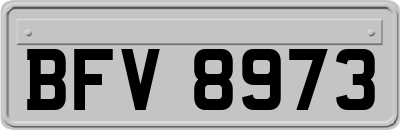 BFV8973