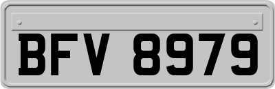 BFV8979