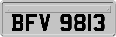 BFV9813