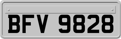 BFV9828