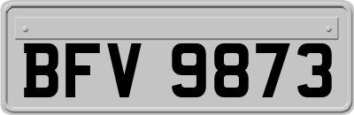 BFV9873