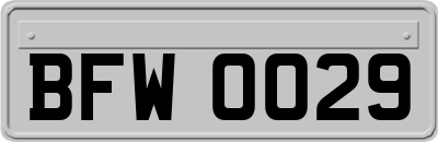 BFW0029