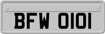 BFW0101