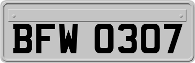 BFW0307