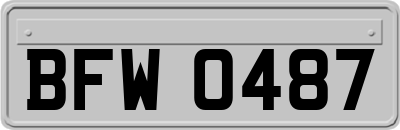BFW0487