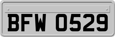 BFW0529