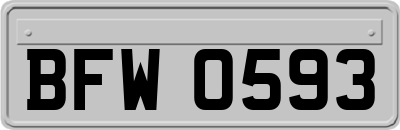 BFW0593