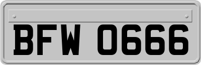 BFW0666