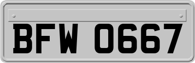 BFW0667