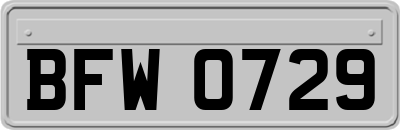 BFW0729