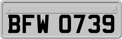 BFW0739