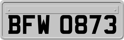 BFW0873