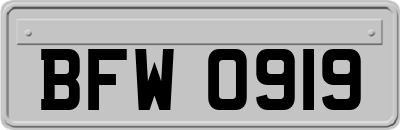 BFW0919