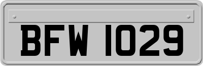 BFW1029